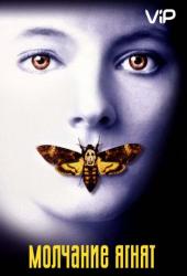 Молчание ягнят