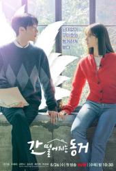 Мой сосед - кумихо