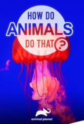 Удивительный мир животных