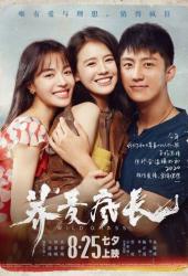 Дикие травы