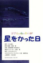 День, когда я приобрела звезду
