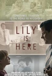 Lily Is Here