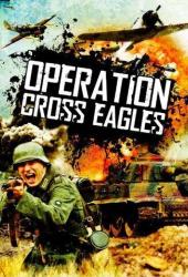 Операция «Орлиный крест»
