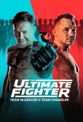 The Ultimate Fighter