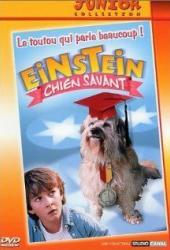 Завтрак с Эйнштейном