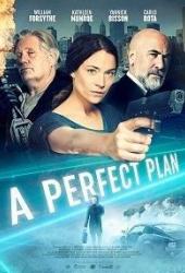 A Perfect Plan