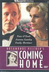 Возвращение домой