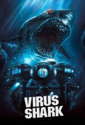 Вирусная акула