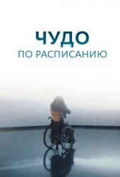 Чудо по расписанию