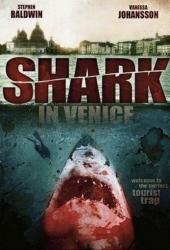 Акула в Венеции