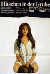 Заяц в норе