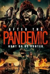 After the Pandemic