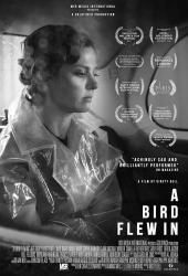 A Bird Flew In