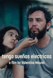 Мне снятся электрические сны