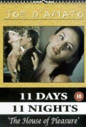 Дом удовольствия