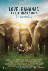 Любовь и бананы