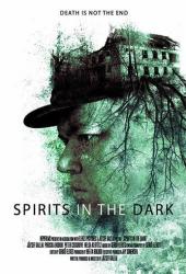 Spirits in the Dark