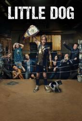 Маленькая собака