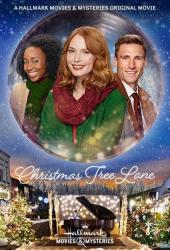 Christmas Tree Lane