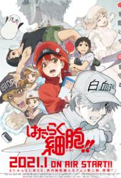 Клетки за работой!