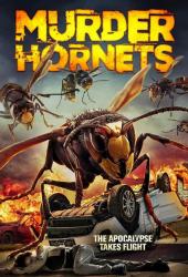 Angry Asian Murder Hornets