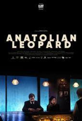 Anadolu Leopari