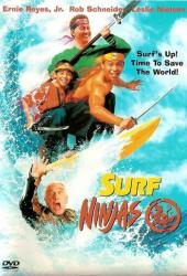 Ниндзя серферы