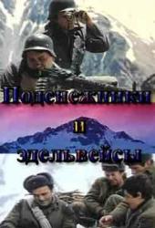 Подснежники и эдельвейсы