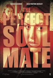 The Perfect Soulmate