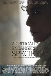 Виды под угрозой исчезновения