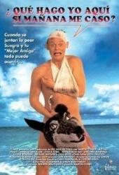 Особенности холостяцкой вечеринки