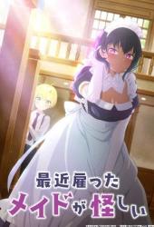 Моя новая горничная очень подозрительна