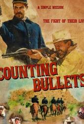 Counting Bullets