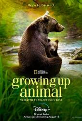 Growing Up Animal