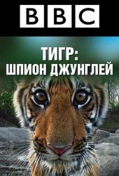 BBC: Тигр - Шпион джунглей