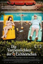 Die Vergesslichkeit der Eichhörnchen