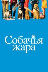 Собачья жара