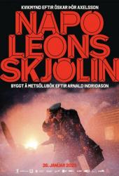 Операция «Наполеон»