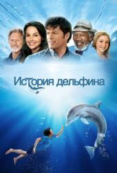 История дельфина