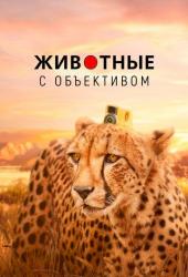 Животные с объективом