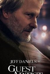 Приглашённый художник