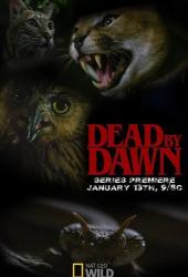 Dead by Dawn