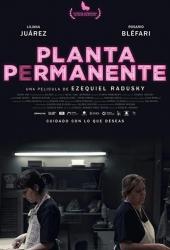 Planta permanente