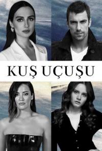 Полёт птицы