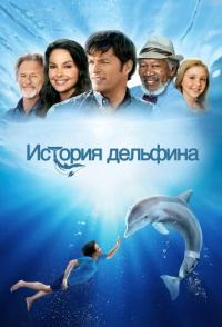 История дельфина