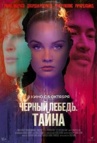 Черный лебедь. Тайна
