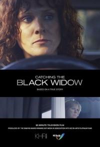 Охота на Черную вдову
