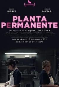 Planta permanente