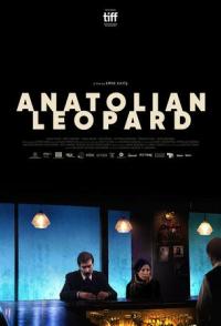 Anadolu Leopari