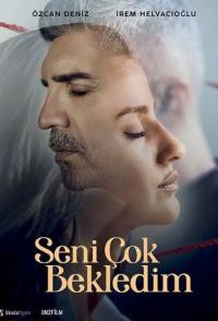 Я так долго ждал тебя